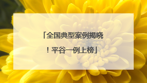 全国典型案例揭晓！平谷一例上榜