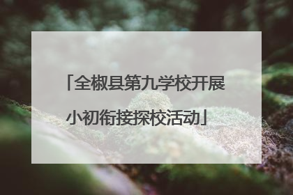 全椒县第九学校开展小初衔接探校活动