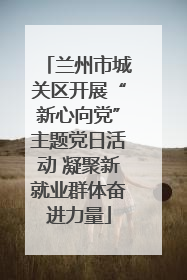 兰州市城关区开展“新心向党”主题党日活动 凝聚新就业群体奋进力量