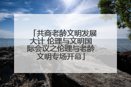 共商老龄文明发展大计 伦理与文明国际会议之伦理与老龄文明专场开幕