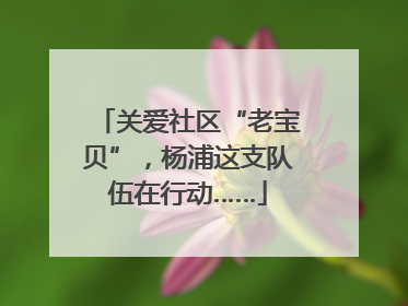关爱社区“老宝贝”，杨浦这支队伍在行动……