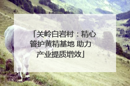 关岭白岩村：精心管护黄精基地 助力产业提质增效