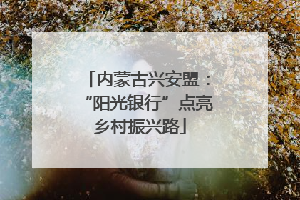 内蒙古兴安盟：“阳光银行”点亮乡村振兴路