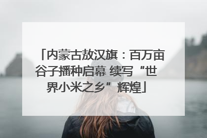 内蒙古敖汉旗：百万亩谷子播种启幕 续写“世界小米之乡”辉煌