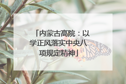 内蒙古高院：以学正风落实中央八项规定精神