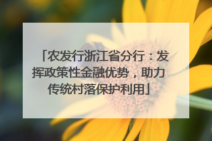 农发行浙江省分行：发挥政策性金融优势，助力传统村落保护利用
