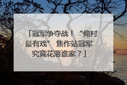 冠军争夺战！“俺村最有戏” 焦作站冠军究竟花落谁家？