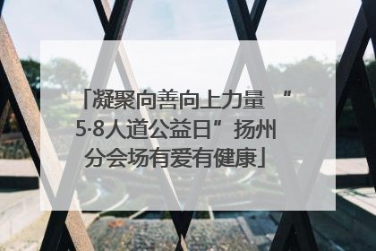 凝聚向善向上力量 “5·8人道公益日”扬州分会场有爱有健康