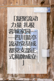凝聚流动力量 扎根蓉城家园——四川盐亭流动党员成都党支部正式揭牌成立