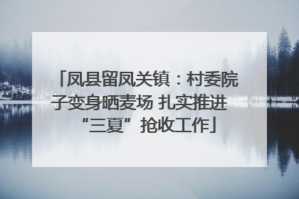 凤县留凤关镇：村委院子变身晒麦场 扎实推进“三夏”抢收工作