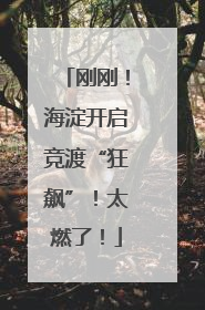 刚刚！海淀开启竞渡“狂飙”！太燃了！