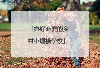 办好必要的乡村小规模学校