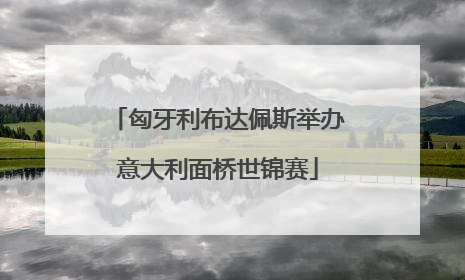 匈牙利布达佩斯举办意大利面桥世锦赛