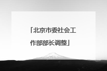 北京市委社会工作部部长调整