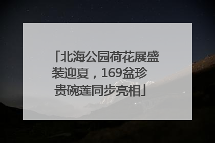 北海公园荷花展盛装迎夏，169盆珍贵碗莲同步亮相