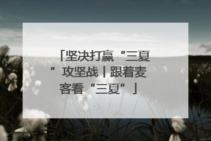 坚决打赢“三夏”攻坚战丨跟着麦客看“三夏”