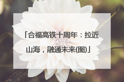 合福高铁十周年：拉近山海，融通未来(图)