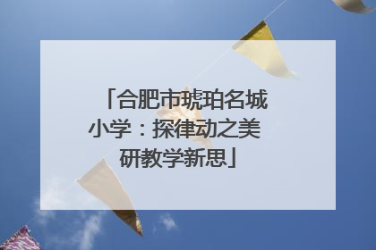 合肥市琥珀名城小学：探律动之美 研教学新思