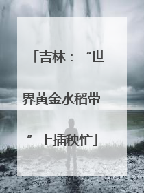 吉林：“世界黄金水稻带”上插秧忙