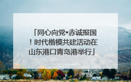 同心向党•赤诚报国！时代楷模共建活动在山东港口青岛港举行