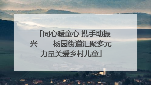 同心暖童心 携手助振兴——杨园街道汇聚多元力量关爱乡村儿童