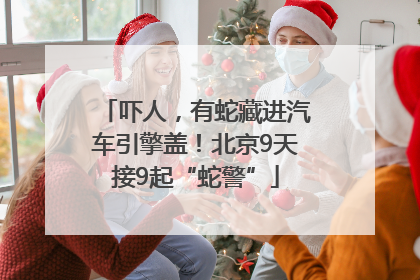 吓人，有蛇藏进汽车引擎盖！北京9天接9起“蛇警”