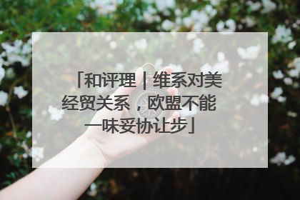 和评理｜维系对美经贸关系，欧盟不能一味妥协让步