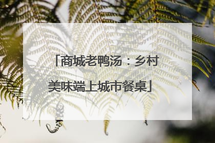 商城老鸭汤：乡村美味端上城市餐桌