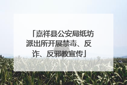嘉祥县公安局纸坊派出所开展禁毒、反诈、反邪教宣传