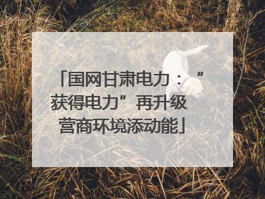 国网甘肃电力：“获得电力”再升级 营商环境添动能