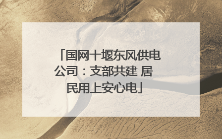 国网十堰东风供电公司：支部共建 居民用上安心电