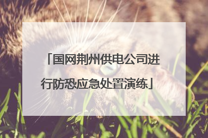 国网荆州供电公司进行防恐应急处置演练