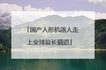 国产人形机器人走上全球最长猫道
