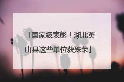 国家级表彰！湖北英山县这些单位获殊荣