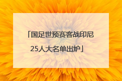 国足世预赛客战印尼25人大名单出炉