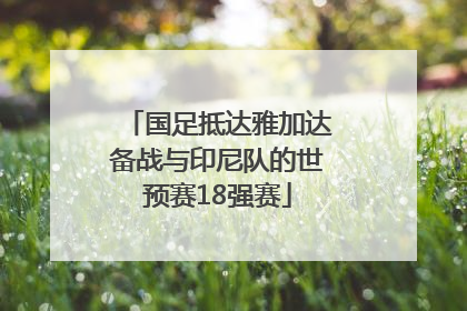 国足抵达雅加达备战与印尼队的世预赛18强赛