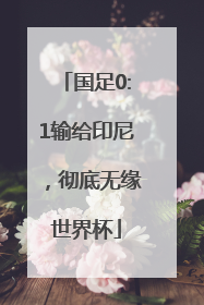 国足0:1输给印尼，彻底无缘世界杯