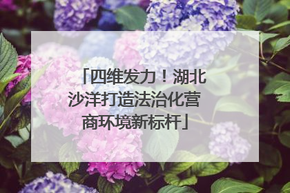 四维发力！湖北沙洋打造法治化营商环境新标杆