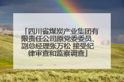 四川省煤炭产业集团有限责任公司原党委委员、副总经理张万松 接受纪律审查和监察调查