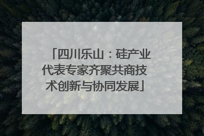 四川乐山：硅产业代表专家齐聚共商技术创新与协同发展