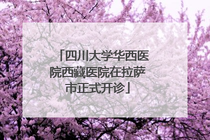 四川大学华西医院西藏医院在拉萨市正式开诊