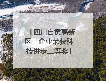 四川自贡高新区一企业荣获科技进步二等奖
