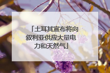 土耳其宣布将向叙利亚供应大量电力和天然气