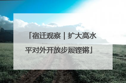 宿迁观察｜扩大高水平对外开放步履铿锵