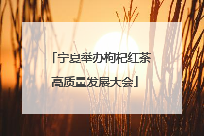 宁夏举办枸杞红茶高质量发展大会