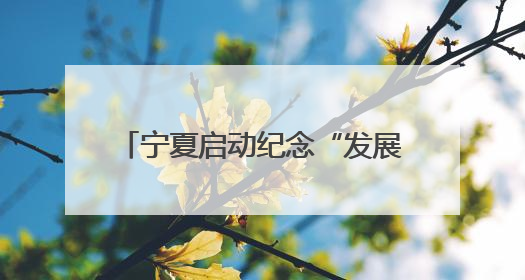 宁夏启动纪念“发展体育运动 增强人民体质”题词73周年全民健身主题活动