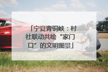 宁夏青铜峡：村社联动共绘“家门口”的文明图景