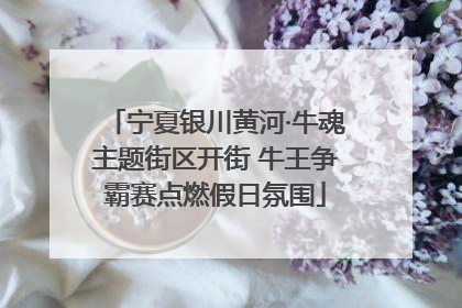宁夏银川黄河·牛魂主题街区开街 牛王争霸赛点燃假日氛围