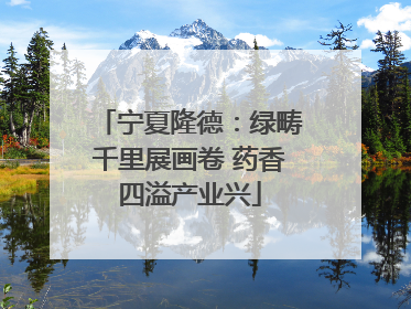 宁夏隆德：绿畴千里展画卷 药香四溢产业兴