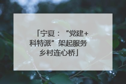 宁夏：“党建+科特派”架起服务乡村连心桥